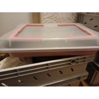 Plat a gâteau avec couvercle 