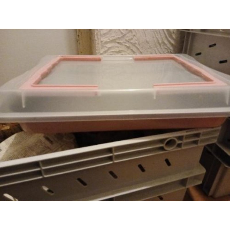 Plat a gâteau avec couvercle 