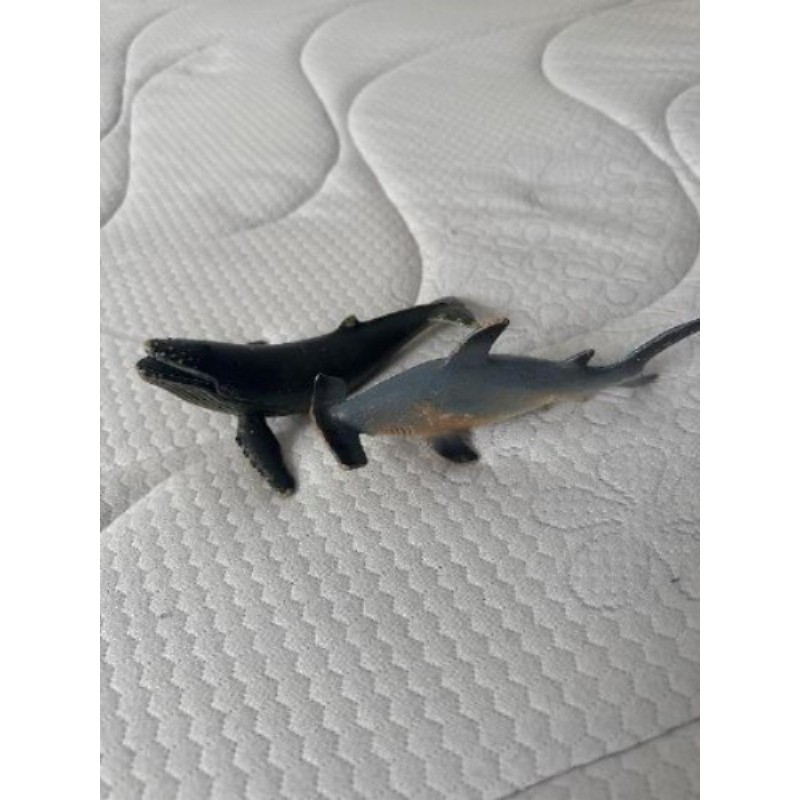 Lot de 2 cétacés (baleine et requin marteau)