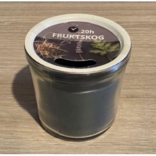 Bougie Forêt 