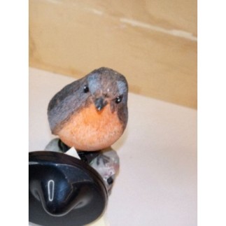 Oiseau 