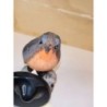 Oiseau 